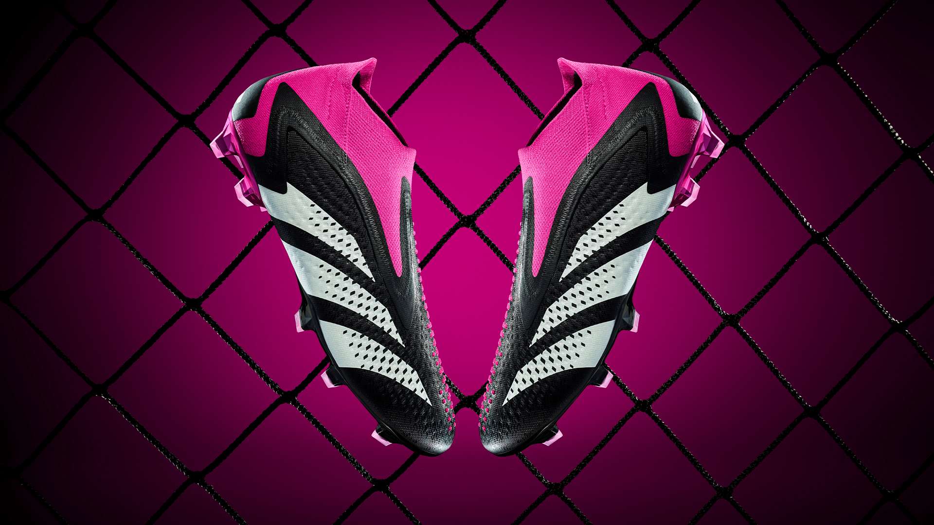 仅是对个人 仅是对个人